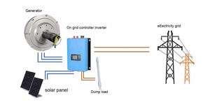 Alternateur sans noyau à disque magnétique triphasé 2 kW, 48 V/96 V, 1000 tr/min, silencieux - Product Image 5