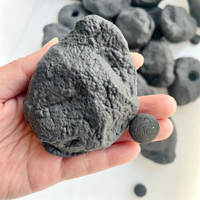 Coque de boule vide en TPR, texture rocheuse noire charbon de bois, 10*8cm, pour jouet à presser DIY, jouet anti-stress souple à rebond lent fait main