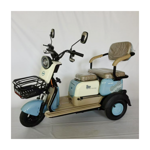 Tricycle Électrique à <span class=keywords><strong>3</strong></span> <span class=keywords><strong>Roues</strong></span> en Promotion – Tricycle Passager, Vélo Électrique de Transport, E-Bike pour Adultes - Product Image 1