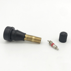 Pièces automobiles : Valve de pneu TR600HP en laiton à clipser, haute performance - Product Image 4