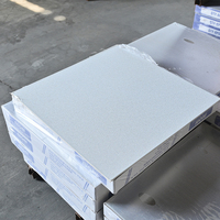 Nouvelle Arrivée Film de Plafond en PVC et Plâtre avec Dos en Feuille d'Aluminium, Ignifuge, Anti-humidité, Imperméable, Grille, Divers Designs, Panneau Décoratif