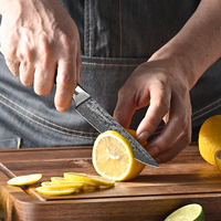 Couteau utilitaire de 5 pouces en acier Damas VG10, couteau à éplucher les fruits avec manche en bois Pakka, couteau de cuisine professionnel