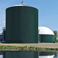 Réservoir sous pression en acier avec commande PLC pour la digestion anaérobie automatique des excréments animaux et des déchets végétaux