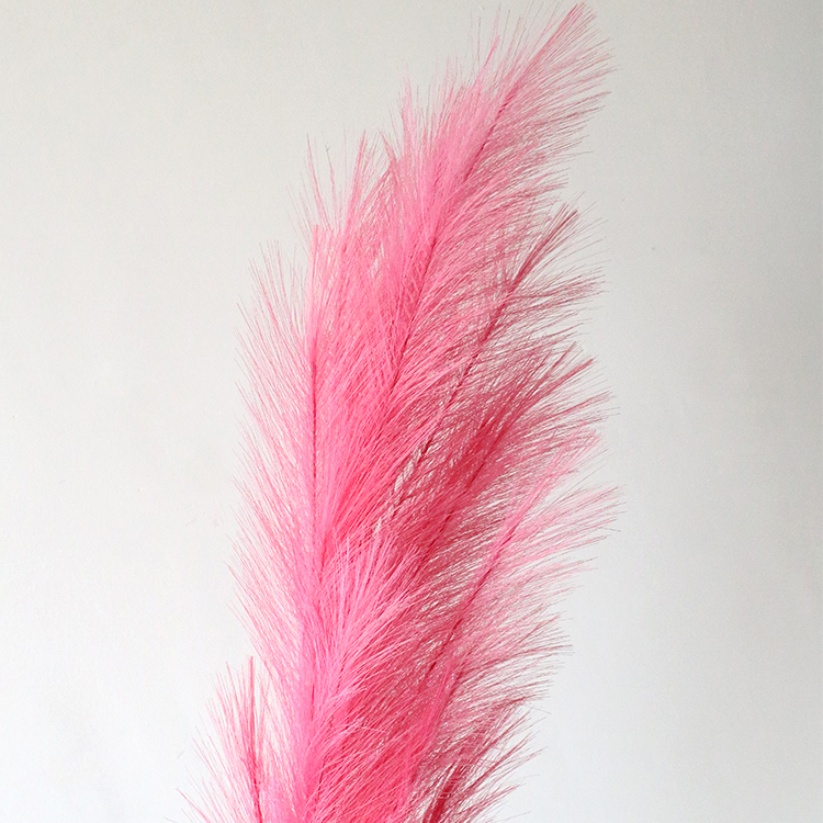 สีชมพู