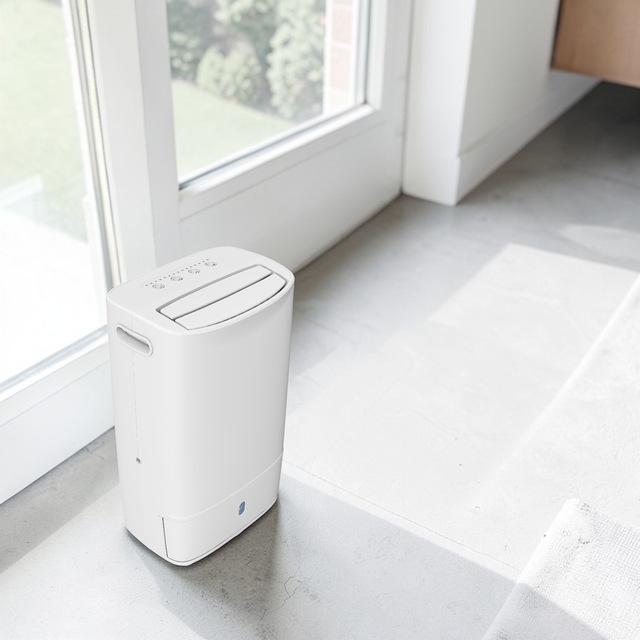 DDM CE Certified Electric Plastic Air Purifier Dehumidifier for Commercial Use 2L Lightweight Ultimate Dry OEM/ODM Available