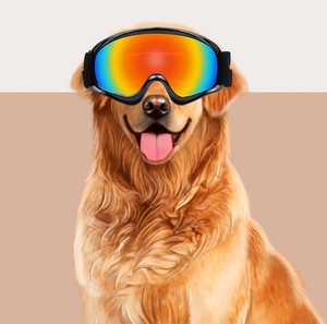 Lunettes de soleil en plastique coupe-vent de style militaire pour <span class=keywords><strong>chien</strong></span> <span class=keywords><strong>avec</strong></span> sangle réglable pour accessoires d'été et de Noël - Product Image 3
