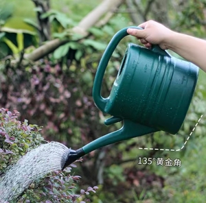 Annaffiatoio in Plastica con Beccuccio e Rosa da 3L 5L 8L 10L 12L - Product Image 5