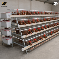 Équipement d'élevage : Cage à poules pondeuses de type A, robuste et en batterie, pour 3 poules