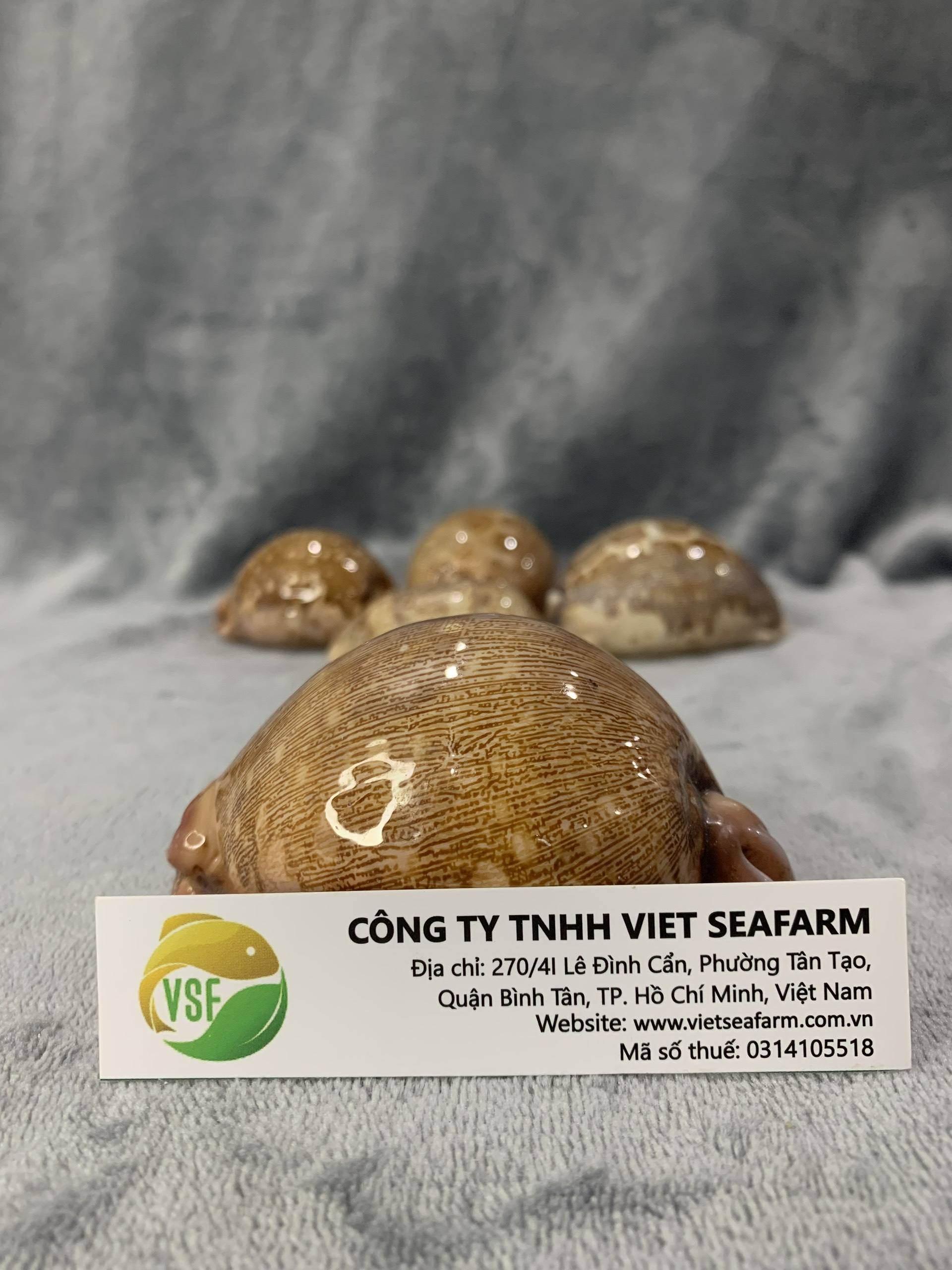 ธรรมชาติ