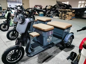 Triciclo de 3 Ruedas para Adultos, 30km-35km/h, Carrocería Abierta, 800W, con Batería de Plomo-Ácido, Muy Popular - Product Image 6