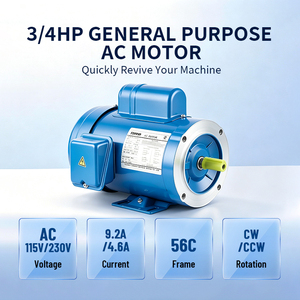 มอเตอร์เหนี่ยวนำไฟฟ้ากระแสสลับเฟสเดียว TPSCF56C-3/4HP-4 TEFC 4 โพล 1725 รอบต่อนาที สำหรับใช้งานกลางแจ้ง - Product Image 6