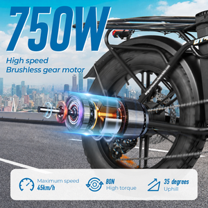 Bicicleta Eléctrica de Carga Personalizada de Largo Alcance, 128 km, Neumáticos Gruesos de 20 Pulgadas, con Motor de Alta Velocidad para Servicio de Entrega Profesional - Product Image 3