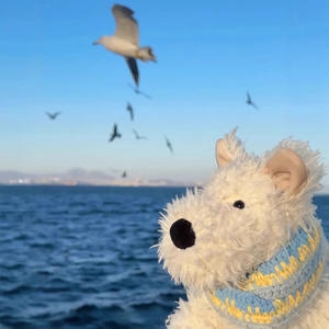 Jellycat Original del Reino Unido para la Serie de Juguetes de Peluche Súper Suaves, Colección Súper Completa, Muñeco con Bolsa Protectora, Oso Barcelona con Relleno de Algodón PP - Product Image 4