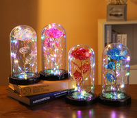 Offre Spéciale femmes noël plastique éternel galaxie rose pour toujours rose en verre dôme avec lumières led cadeau
