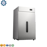 Gedehydrateerde Passievrucht Champignonkoolblad Roterende Infrarood Mini Voedsel Dehydrator Mat Vellen Droger Knoflook Dehydratie Machine