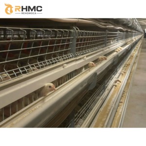 RHMC Factory Agricultural Equipment <strong>Design</strong> <strong>Broiler</strong> Chicken <strong>Cages</strong> Bird <strong>Broiler</strong> Poultry Farm <strong>Cage</strong> - Product Image 3