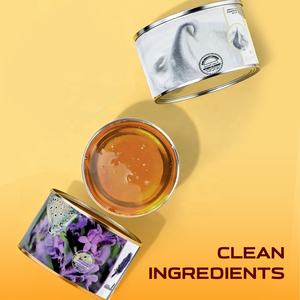 Fórmula de lata de cera suave brasileña caliente con sabor a café de 400g al por mayor para depilación facial y corporal - Product Image 5