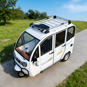 Triciclo Eléctrico Multiusos Abierto, Motor <span class=keywords><strong>de</strong></span> 1000W, 400kg, Certificado EEC, para <span class=keywords><strong>Transporte</strong></span> <span class=keywords><strong>de</strong></span> <span class=keywords><strong>Pasajeros</strong></span>, Patrullaje y Servicios <span class=keywords><strong>de</strong></span> Entrega - Product Image 6