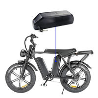 Batterie de vélo Downtube Hailong OUXI V8 Fatbike 48V 10Ah 13Ah 15Ah 17.5Ah 20Ah Batterie au lithium rechargeable