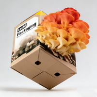 Boîte d'emballage personnalisée pour kit de culture de champignons, vente en gros à bas prix, avec poignée, étanche, pour kit de champignons frais, en papier kraft