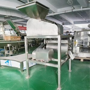 500kg Industrial Para Frutas Beating Paste Pulper Maquina Despulpadora De Uvas Litchi Pulp Machine - Product Image 2