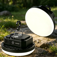 Lampe de camping multifonctionnelle pour l'extérieur, rechargeable par type-C, LED COB lumineuse, lampe de jardin portable avec crochet