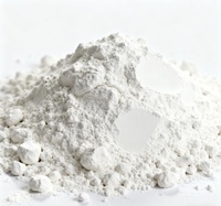 Ciment blanc haute blancheur, spécial pour les plafonds/murs de décoration intérieure, facile à appliquer et sans impuretés