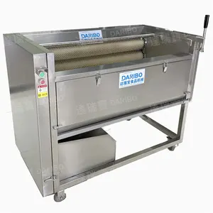 Machine à éplucher les pommes de terre Pommes de terre Carotte Brosse Taro Manioc Machine à laver et à éplucher