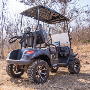 Gran Oferta: Carro de <span class=keywords><strong>Golf</strong></span> Eléctrico de 2 Plazas con Batería de Plomo-Ácido de 48V/100A, Carga Rápida, para Campos de <span class=keywords><strong>Golf</strong></span>, Playas <span class=keywords><strong>y</strong></span> Hoteles - Product Image 5