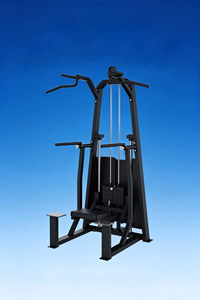 Máquina de Ejercicio Comercial al por Mayor para Gimnasio: Estación de Dominadas y Dips de Barra Simple o Doble - Product Image 2