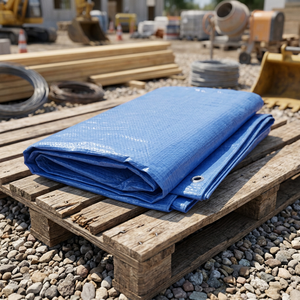 <b>Waterproof</b> Plain Craft Picnic Blanket UV Resistance Thick Tear Resistant Helmet Reinforced Hem PE Fabric Made HDPE <b>Material</b> - Product Image 2