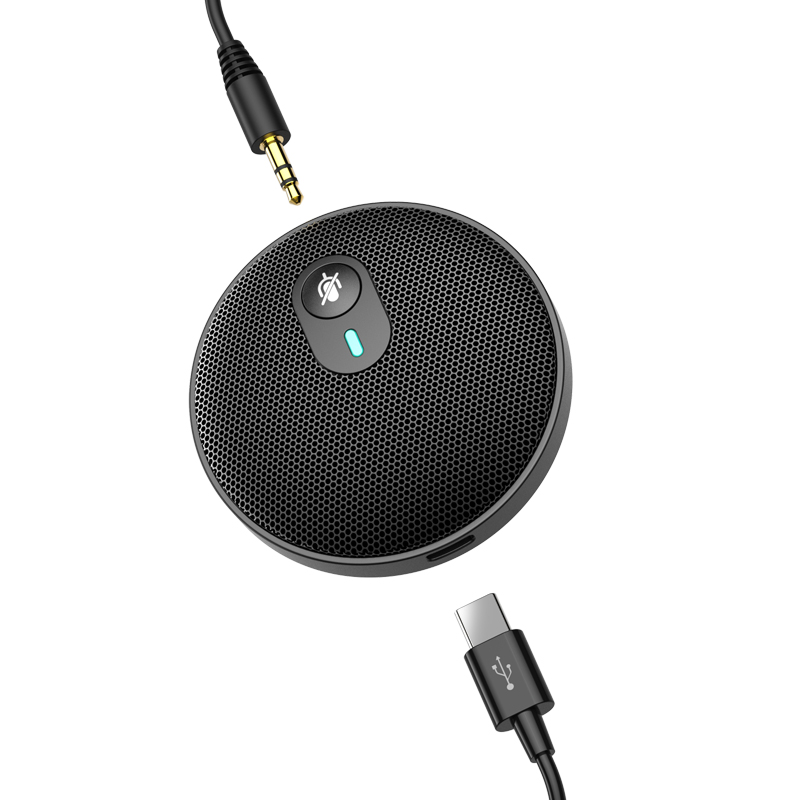 2021 оригинальный дизайн Профессиональный портативный всенаправленный мини USB конденсаторный микрофон