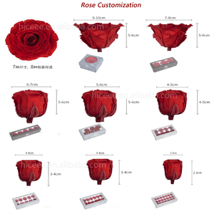 رأس وردة محفوظة يدوية الصنع باللون الوردي لتزيين الكريسماس وعيد الحب، تدوم طويلاً، 5-6 سم، وردة أبدية - Product Image 5