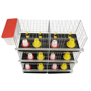 Jaula para pollos, pollitos pequeños, jaula para pollos de engorde, sistema de bebederos, jaulas de alimentación para aves de corral, trampas de acuicultura - Product Image 1