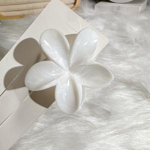 مشبك شعر أنيق جديد لعام <span class=keywords><strong>2025</strong></span> بتصميم كرتوني متدرج اللون من الراتنج، مشبك شعر راقٍ للحفلات - Product Image 6