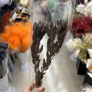 PPF16 <span class=keywords><strong>leucadendron</strong></span> fábrica Al นายกเทศมนตรี Rey Protea ดอกไม้ secas naturales Para La decoración de la Boda - Product Image 5