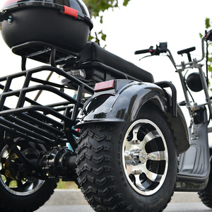 Triciclo EHoodax 05WQ con Logotipo Personalizado OEM ODM Disponible, Neumático Grueso de 18 Pulgadas, Motor Cerrado de 2000W, 30-50 km/h, 30-50 km de Autonomía, Color Negro M - Product Image 2