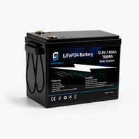 Baterai LiFePO4 12V 7Ah 9Ah 12Ah 15Ah Pengganti Aki Timbal Asam dengan BMS Terintegrasi Pabrik OEM