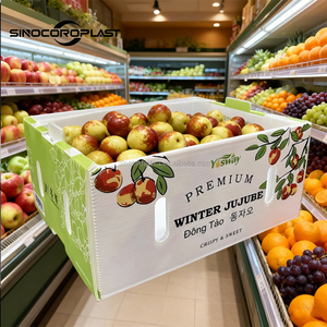 Caja de Almacenamiento Plegable de PP Resistente y Personalizada para Mangostán, Contenedor Ventilado para Frutas Frescas, <span class=keywords><strong>Sinocoroplast</strong></span> - Product Image 6