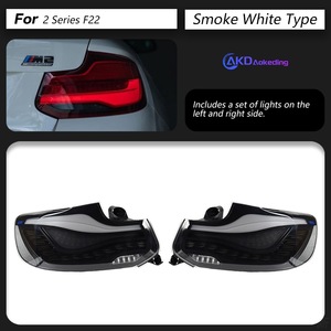 Feux arrière à LED modifiés à l'échelle du dragon unique, lentille claire, clignotant, flux lumineux pour BMW série 2 F22F23 12V, nouveau et utilisé - Product Image 6