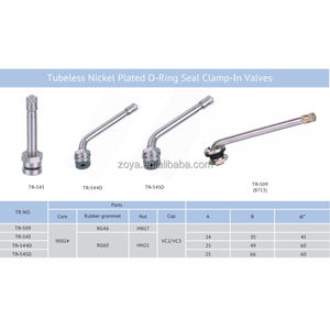 Accessoire de réparation de pièces de rechange automobiles <span class=keywords><strong>Joint</strong></span> <span class=keywords><strong>torique</strong></span> nickelé sans chambre à air <span class=keywords><strong>Valve</strong></span> de serrage <span class=keywords><strong>Valve</strong></span> de pneu TR-509 <span class=keywords><strong>Valve</strong></span> de pneu <span class=keywords><strong>pour</strong></span> camion et bus - Product Image 2
