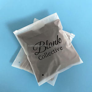 ホットセールカスタムロゴプリントジッパーロックスタイル水着バッグランジェリーパッケージブラックフロストジッパーバッグ - Product Image 2