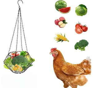 Gà Đặt Nóng Gà Tổ Bé Gà Trung Chuyển Thức Ăn Nước - Product Image 4