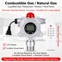 OEM High Precision CH4 Methane Fixed Online Analyzer Sensor Detektor Kebocoran Gas dengan Alarm Tahan Ledakan