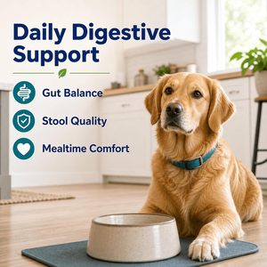 OEM ODM Private Pets <b>Probiotics</b> <b>for</b> <b>Dogs</b> with Prebiotics Promotes a Balanced Gut Microbiome - Boosts Immune Health Soft Chews - Product Image 6