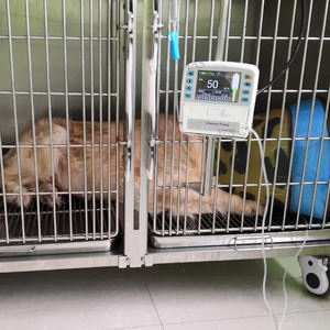 เครื่องปั๊มให้สารละลายสำหรับสัตว์เลี้ยงสุนัขแมวทางการแพทย์หน่วยปั๊มให้ LHWEB12V สำหรับสัตวแพทย์ - Product Image 3