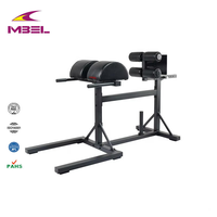 Banc de musculation commercial réglable pour exercices de gym, chaise romaine pour gluteus et ischio-jambiers