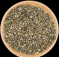 Huo Ma Ren hennepzaad, Chinese kruidenplant, zaad, hennepvrucht, gezondheidskruiden, Huo Ma Ren voor dieet en gewichtsverlies.