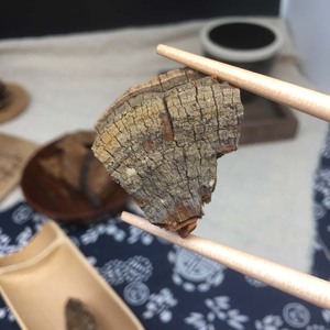 Vente de gros Sang Huang Champignons sauvages Phellinus Linteus et Phellinus Igniarius séchés en vrac Épices et herbes - Product Image 2