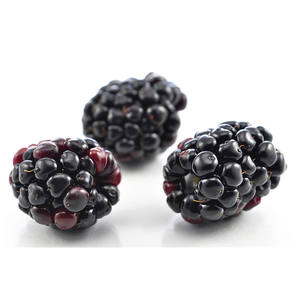 Fornitura arcobaleno 100% gelso naturale frutta in polvere succo di gelso in polvere estratto di gelso frutta - Product Image 1